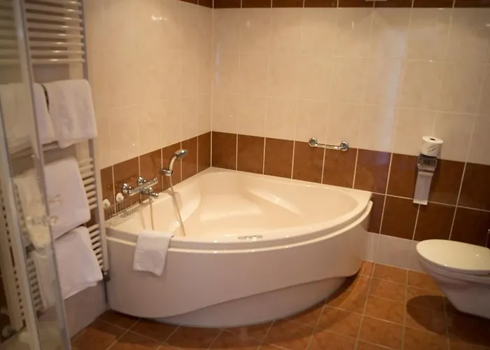 De Drie Dorpen Hotel 3*