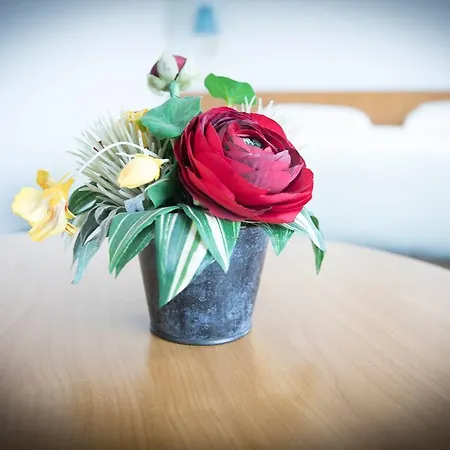 De Drie Dorpen ホテル Ankeveen